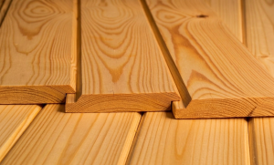 Szalówka na zakład