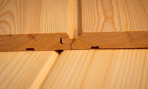 Szalówka z przedłużanym piórem